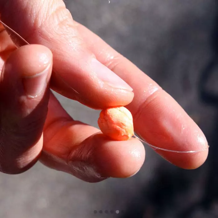 Loon Biostrike Indicator Putty 3 Loon Biostrike Indicator Putty - Image 3