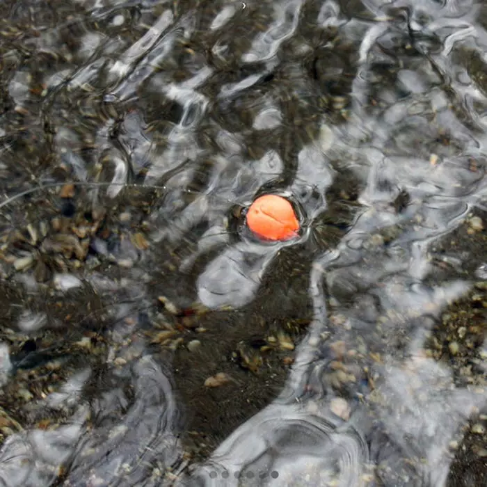 Loon Biostrike Indicator Putty 5 Loon Biostrike Indicator Putty - Image 5