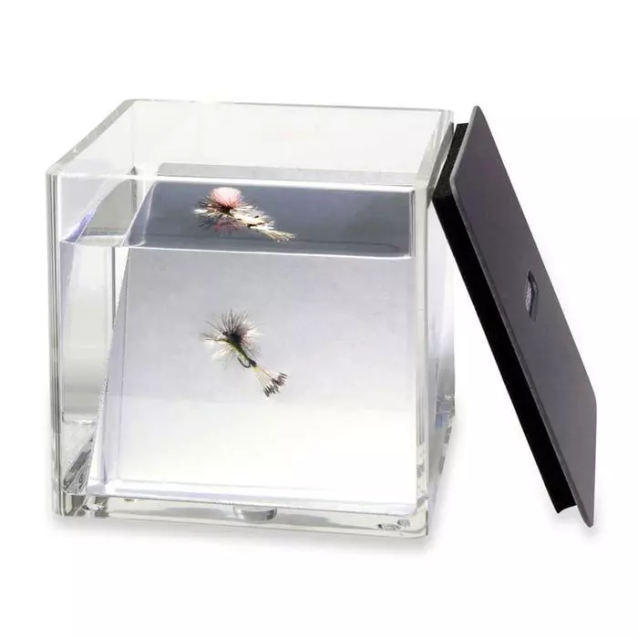 C&F Fish Eye 2 C&F Fish Eye - Image 2