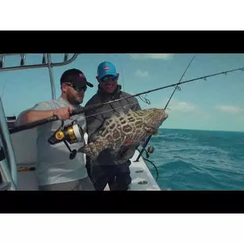 Penn Spinfisher VI Spinning Reel 2 Penn Spinfisher VI Spinning Reel - Image 2