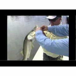 Rapala Sinking Magnum Lure -Ahrex Sales 2023 hqdefault 9 67